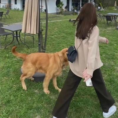 绑架女模特